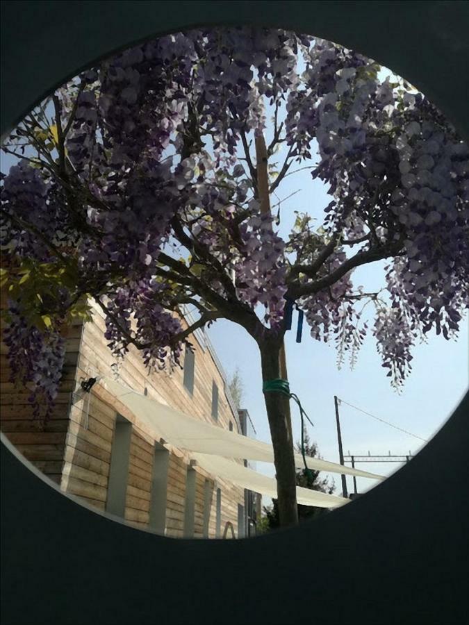 Via Dei Dori B&B 미라노 외부 사진